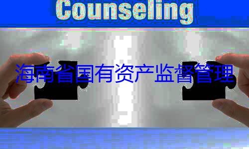 委副书记王海南省国有理委员会党资产监督管有福接受审查调查